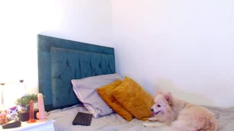 Cedrixx10 online show from March 3, 10:28 pm