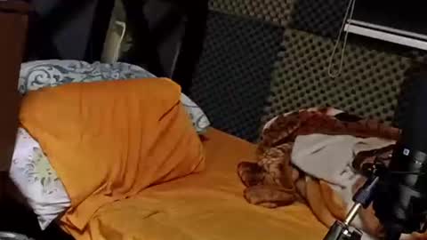 cezar online show from October 5, 4:25 pm