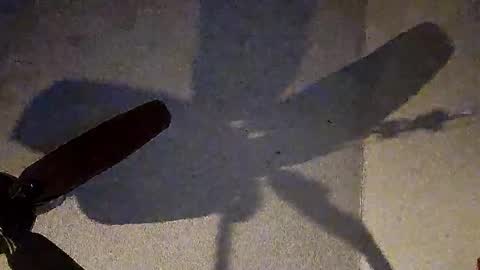 changochaluc1986 online show from December 3, 2:42 am