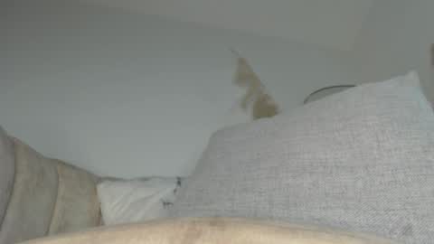 charlottehorny1 online show from September 13, 3:09 am