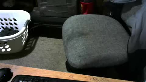 chefy online show from November 27, 2:03 pm