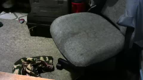 chefy online show from December 15, 1:07 pm