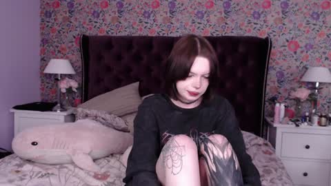 amelia online show from January 18, 4:10 pm