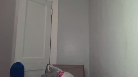 chocolatedolla online show from March 4, 2:27 am