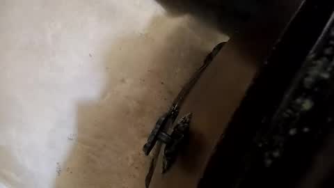 chuck7891 online show from October 14, 8:45 pm