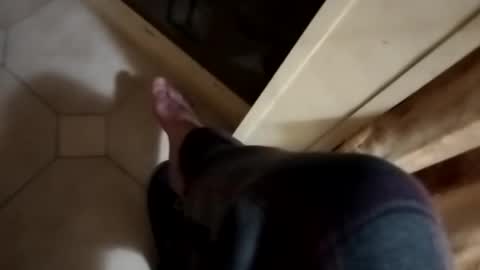 ciccilli online show from November 7, 2:25 am