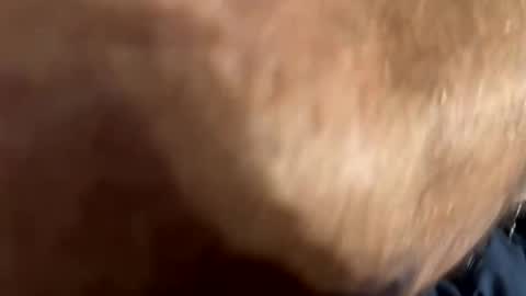 Cleverboy online show from April 8, 6:38 am