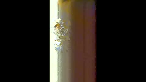 Masseur you to the top online show from December 18, 7:03 am