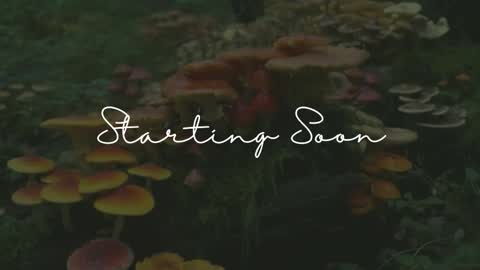 Sunnye Daze online show from March 24, 3:12 am