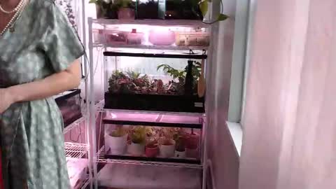 ANR Mommy online show from November 14, 3:47 pm