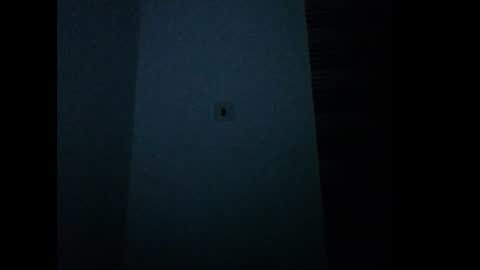 cornxcunt online show from December 22, 11:44 pm