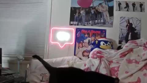 Katxce online show from October 13, 1:40 am