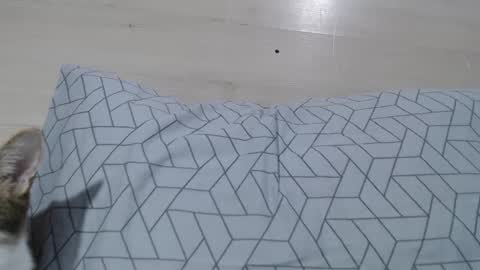 cristynaa36 online show from October 26, 4:06 pm