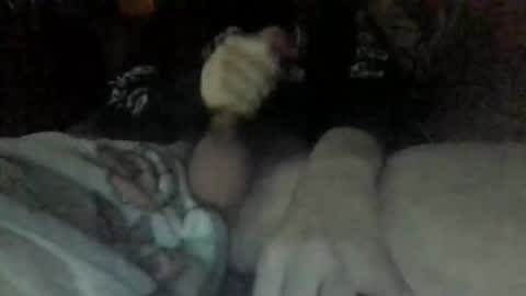 cudi_696 online show from December 14, 10:32 am