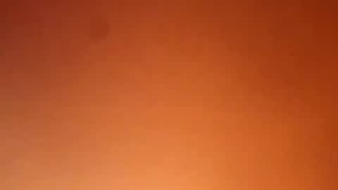 kiwi bloke online show from February 26, 9:44 am