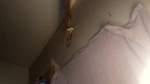 curiousguyhere6 online show from August 1, 3:08 am