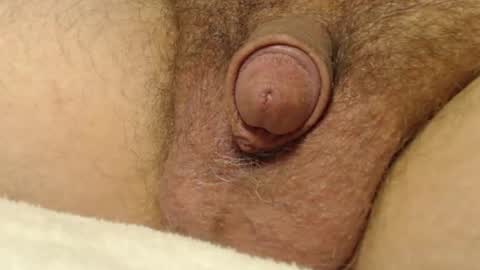 curve66 online show from October 22, 12:58 am