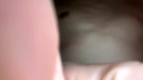 curvy24777 online show from February 23, 7:44 am