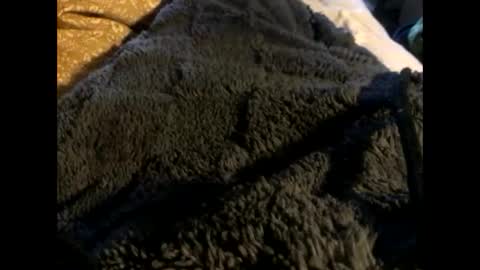 Steve online show from March 2, 12:54 pm