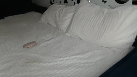 Snapshot of cuteemouse chatting on January 27, 1:52 pm Anna online show from January 27, 1:52 pm