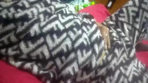 d619627 online show from November 5, 7:32 am