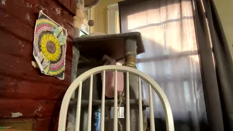 dabqueen_1994 online show from April 8, 12:41 pm