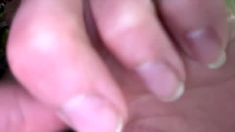 dabqueen_1994 online show from February 25, 12:53 pm