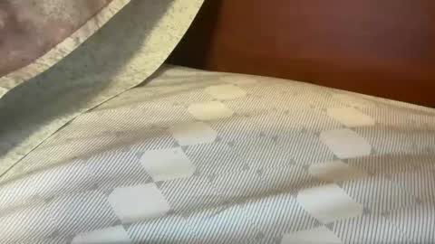 daddys___home online show from October 28, 7:48 pm