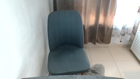 Ashe online show from November 21, 8:23 am