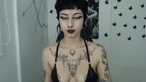 dakota online show from January 25, 7:17 am