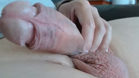 Damocles online show from September 13, 12:40 pm