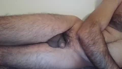 danazh online show from December 20, 11:44 pm