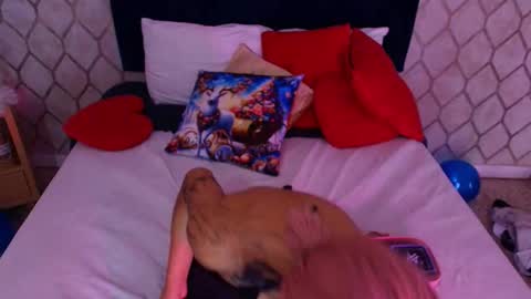 Dan  online show from December 5, 6:39 pm