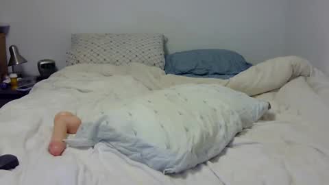 Andy online show from February 7, 2:19 am