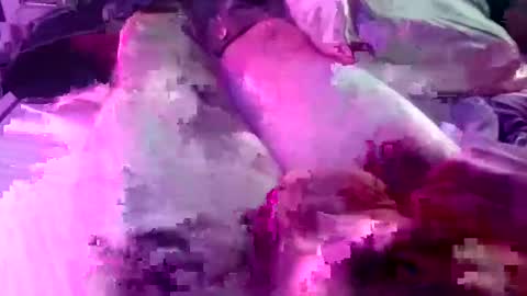 dangpigbenis online show from February 23, 2:58 am