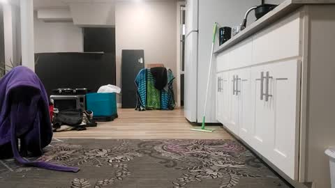 danimal5000 online show from October 5, 3:08 pm