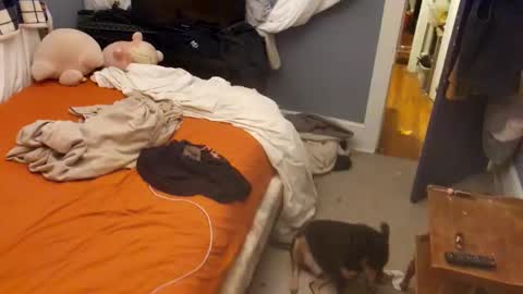 dankfuckcouple online show from November 4, 3:19 am