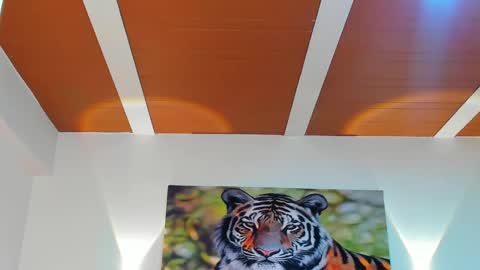 DANTE online show from March 6, 2:51 am