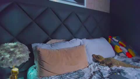 Dany online show from December 20, 2:07 am