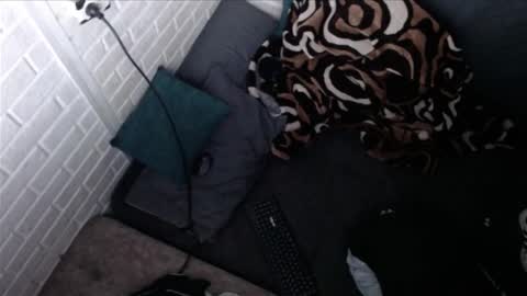 DAVILS online show from November 5, 7:10 am