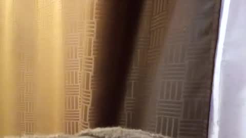 dbossxtina online show from November 12, 8:49 am