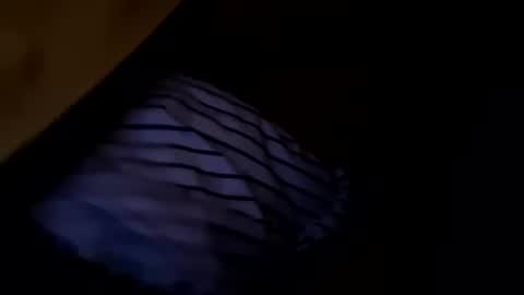 deadbirdink8o8 online show from March 28, 11:00 am