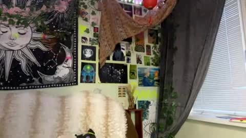 Alisa online show from April 21, 1:42 am