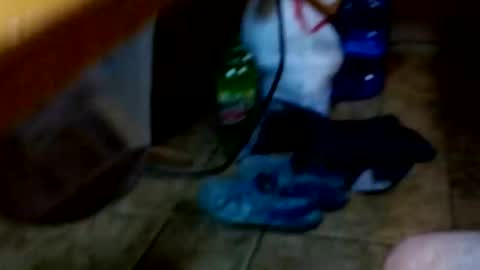 delgondahntelius online show from September 29, 5:23 pm