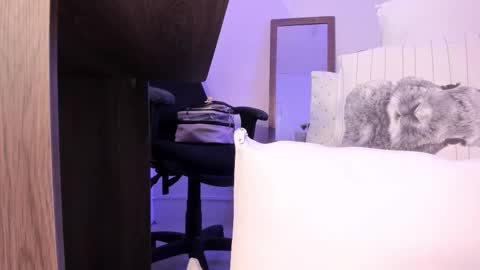 denisse_logan online show from October 6, 3:46 am