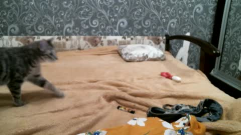 DennisXCarol online show from February 18, 5:31 pm