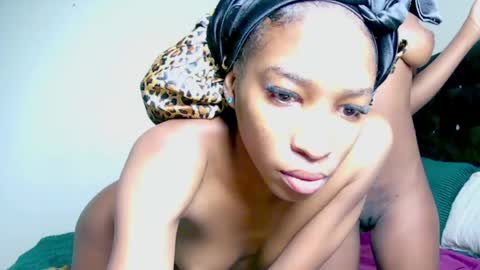 shiba online show from April 13, 2:54 pm