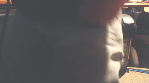 dfwgonewrong online show from February 11, 11:25 am