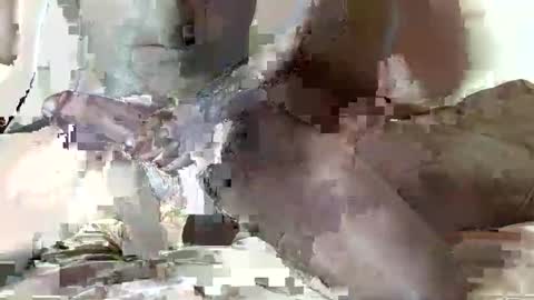 dick_giantcouples online show from March 22, 12:09 pm