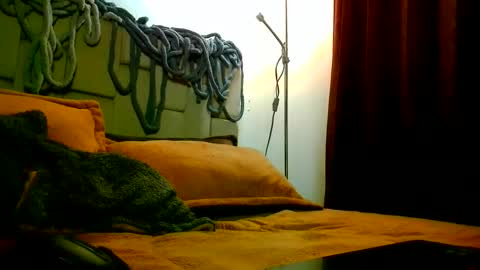 Damin online show from February 24, 7:33 am